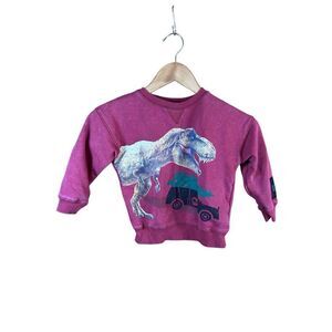 Jurassic World Universal Studios 3T Toddler Sweatshirt TRex Dinosaur